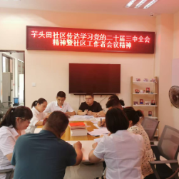 芋头田社区党委集中学习二十届三中全会精神暨社区工作者会议精神