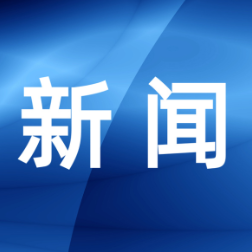 秧励率队赴岳阳楼区开展重点提案督办