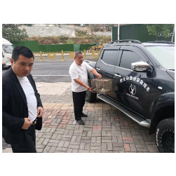 救助野生动物 共创美好和谐生态