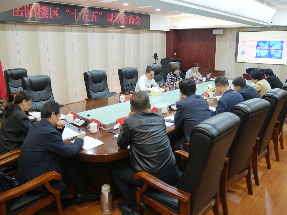 岳阳楼区“十五五”规划会商会召开