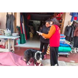 梅溪桥社区开展文明养犬主题宣传活动