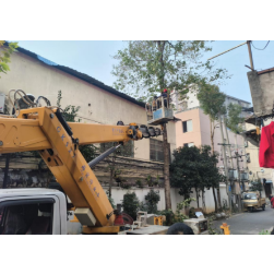 消除危树隐患 守护家园平安——大屋湾社区开展专项清理整治行动