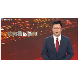 枫桥湖街道商会成立