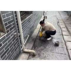 郭亮社区:环境整治不留死角 绘就宜居新画卷