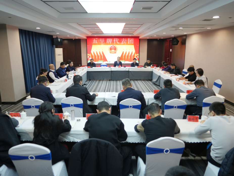 岳阳楼区第六届人民代表大会第五次会议举行分团讨论