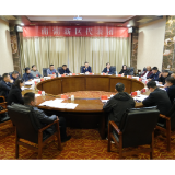 岳阳楼区第六届人民代表大会第五次会议举行第二次分团讨论