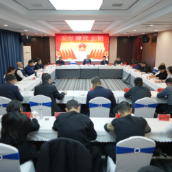 岳阳楼区第六届人民代表大会第五次会议举行分团讨论