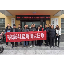 枫树岭社区组织开展“共筑清洁家园,美化社区环境”志愿服务活动