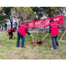 吕仙亭街道开展“拥抱春天·播种绿色”3.12植树节主题活动
