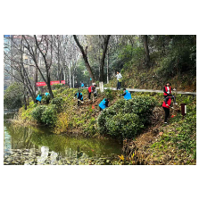 植树种绿 党员先行 ——金鹗公园开展义务植树活动