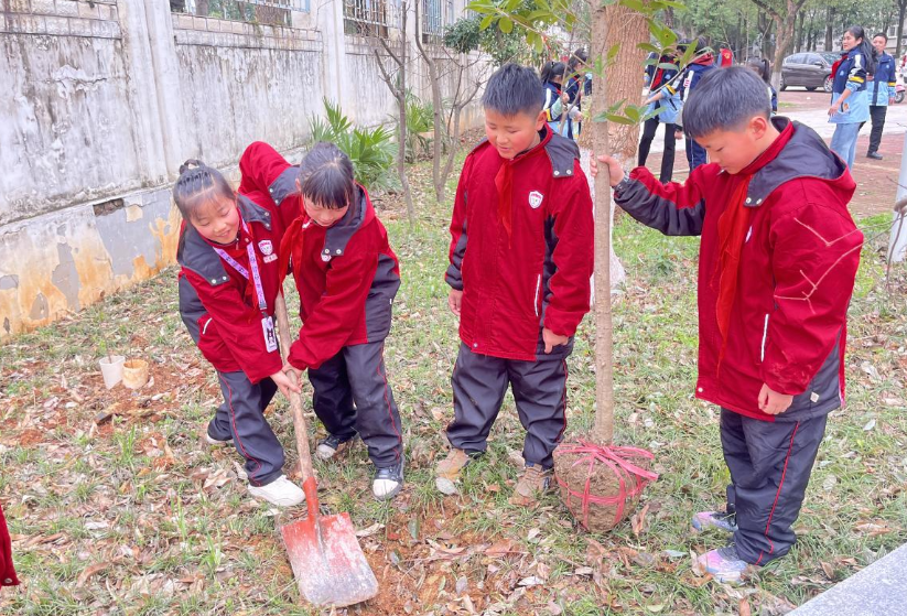 鹰山社区与鹰山小学携手添绿，共赴春日之约