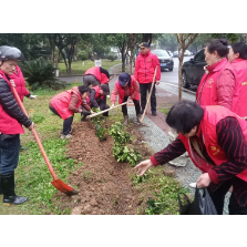 长鑫社区:“老党员银发生辉添新绿 长鑫社区共建共享绘"“花园””植树节主题活动