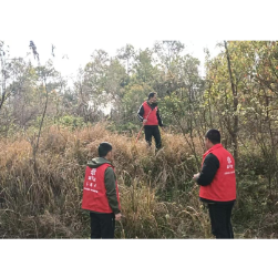 禁种铲毒筑防线 群防群治护平安——康王乡开展拉网式踏查行动守护无毒社区