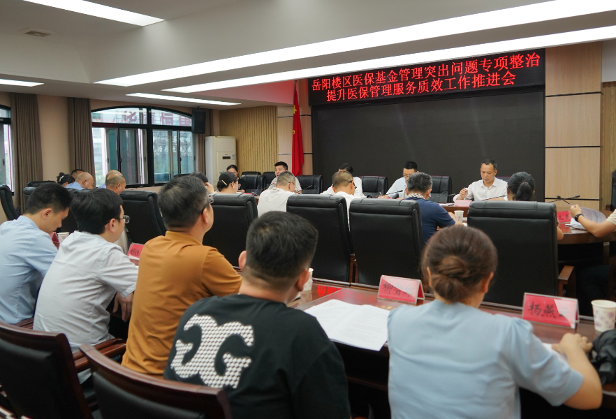 我区召开医保基金管理突出问题专项整治提升医保管理服务质效工作推进会