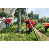 “炎炎夏日志愿行 美化河岸焕新颜”—— 木里港管理处羊角山社区开展沿河风光带杂草清理志愿服务活动