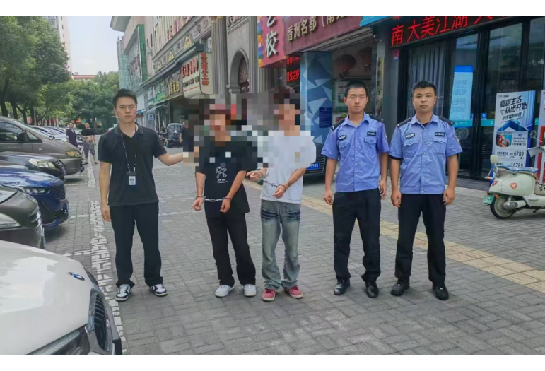 暗夜较量：岳阳楼公安速破拉车门盗窃案