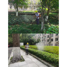 苗木花卉管理中心：白杨坡公园防控 “两热” 多措并举筑牢健康防线