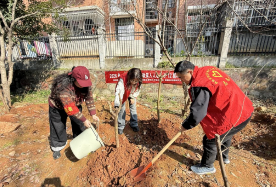 枫桥湖街道：“植绿践初心 政策入人心”植树节活动