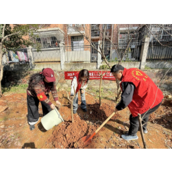 枫桥湖街道:“植绿践初心 政策入人心”植树节活动