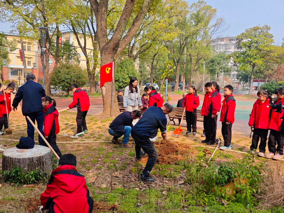 北环路社区：植树添绿美家园 携手共筑生态景