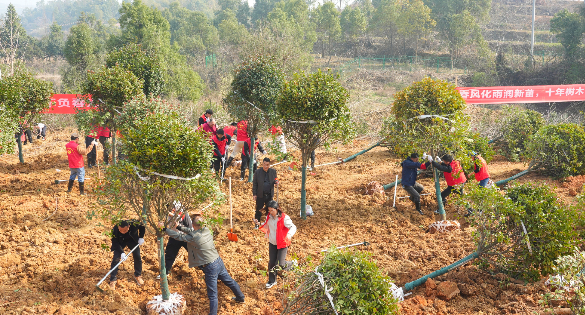 岳阳楼区开展2026年义务植树活动