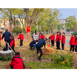 北环路社区:植树添绿美家园 携手共筑生态景