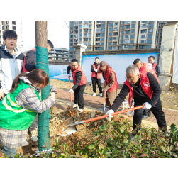 植绿护绿践初心 携手共建美岳阳
