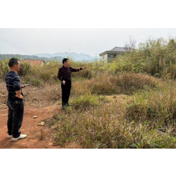 科技专家服务团牵线送技指导西瓜种植