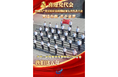 喜迎党代会 我们这五年 | 党的建设篇——党建领航 实干逐梦