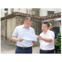杨钦涵调研城市更新工作