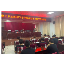 岳阳楼区康王乡：严把征兵初检关 优质青年逐梦军营