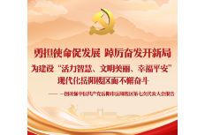 一图读懂 | 岳阳楼区第七次党代会报告