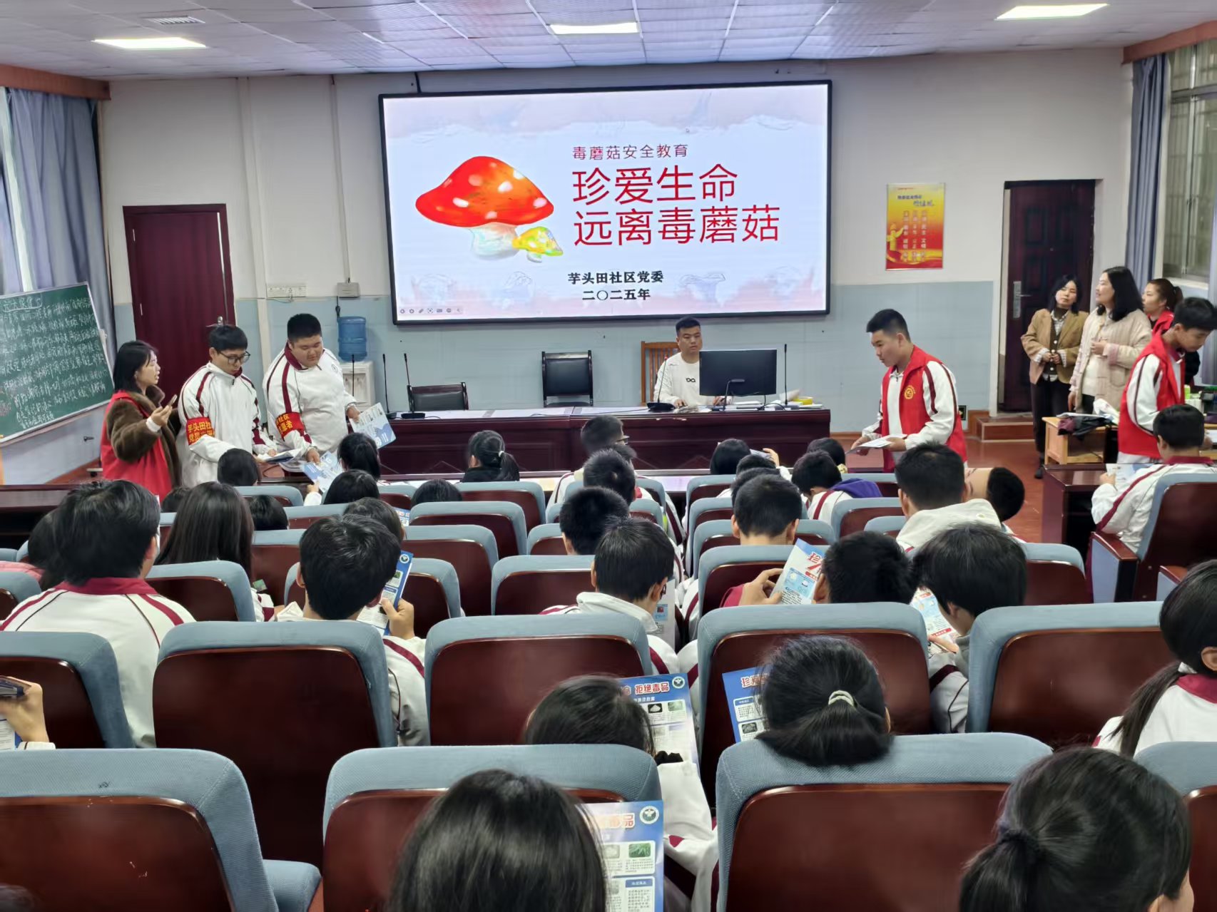 毒蘑菇.jpg 毒蘑菇.jpg