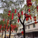 清廉小区,欢度廉“节”