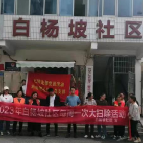 白杨坡社区：党员带头	清洁家园