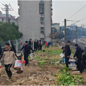 站前路街道：清理小菜园 美化大家园
