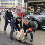 多方联动，打通“生命通道”