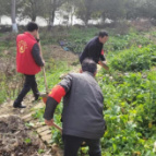 花园坡社区开展违规种菜整治活动
