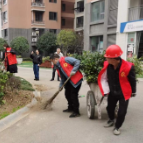 朝阳社区：补栽补种 苗木“添新绿”