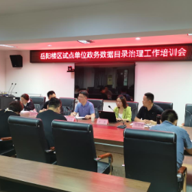 岳阳楼区召开政务数据资源目录治理工作业务培训会