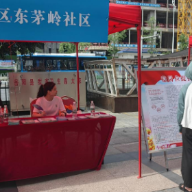 东茅岭社区开展就业创业政策宣传活动