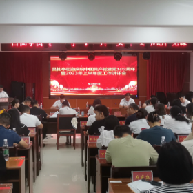 吕仙亭街道开展庆祝中国共产党建党102周年暨2023年上半年度工作总结讲评会