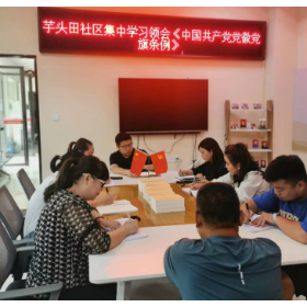 芋头田社区第一党支部集中学习《中国共产党党徽党旗条例》