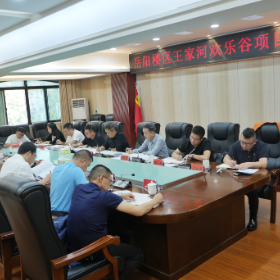 岳阳楼区王家河欢乐谷项目研讨会召开