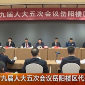 岳阳楼区代表团举行讨论