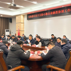 我区支持小微企业融资协调工作机制部署会召开