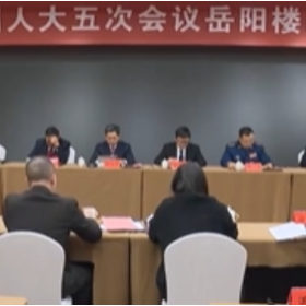 市九届人大五次会议岳阳楼区代表团审议