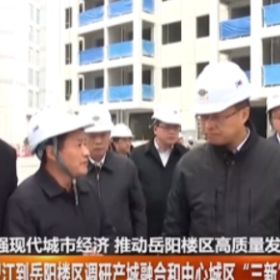 谢卫江到岳阳楼区调研产城融合和中心城区“三新”经济高质量发展工作