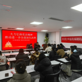 东茅岭街道送法进企业:弘扬宪法精神 共筑法治未来
