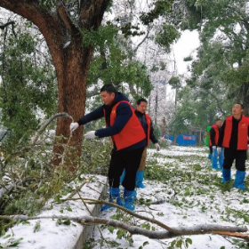 铲雪除冰保畅通，禁违在行动